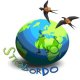 logo strabordo