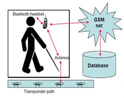 disegno di esemplificazione del sistema sesamonet