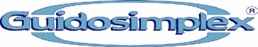 logo guidosimplex