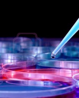 laboratorio_scientifico