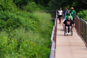 passerella brasile roberto vitali