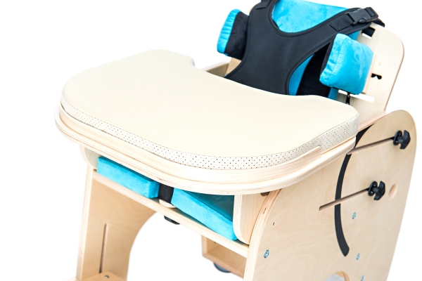 seggiolone disabili 2