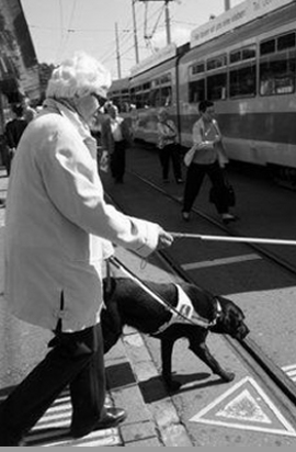 non vedente e mezzo di trasporto