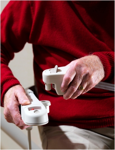 Siena montascale, dettaglio dello  joystick