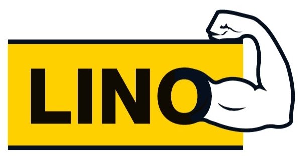 Trasferimento pazienti disabili: disco girevole e cinture di sollevamento per movimentare l'utente senza sforzi per l'assistente LINO 1