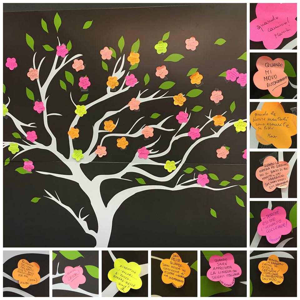 13239343 474109159453919 511621426091934560 n