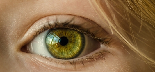 dettaglio di un occhio