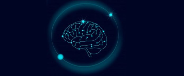 illustrazione grafica che rappresenta un cervello con una serie di collegamenti neuronali