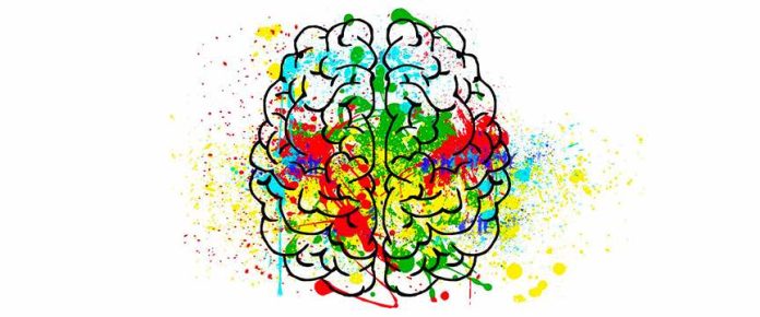 emisfero destro e sinistro con diversi colori