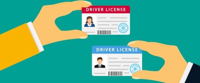 illustrazione di due card di patenti