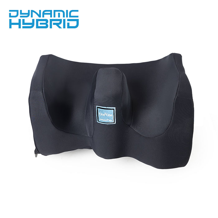 dynamic-hybrid-01