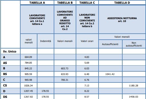 tabella con cifre dello stipendio badanti per il 2022