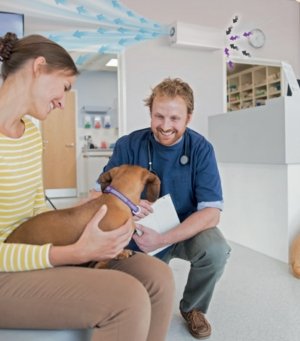 impianto di sanificazione nell'ambulatorio di un veterinario