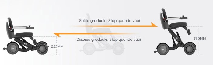 carrozzina disabili elevabile