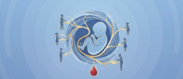 grafica che illustra in maniera stilizzata un feto dal quale partono ideali cordoni ombelicali verso figure stilizzate di altre persone. sotto campeggia una rossa goccia di sangue