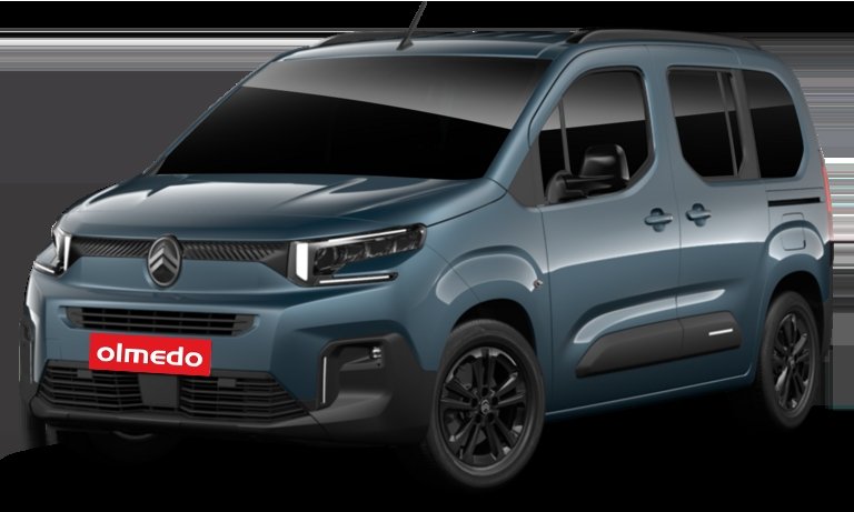 Citroen Berlingo con allestimento per trasporto passeggeri disabili